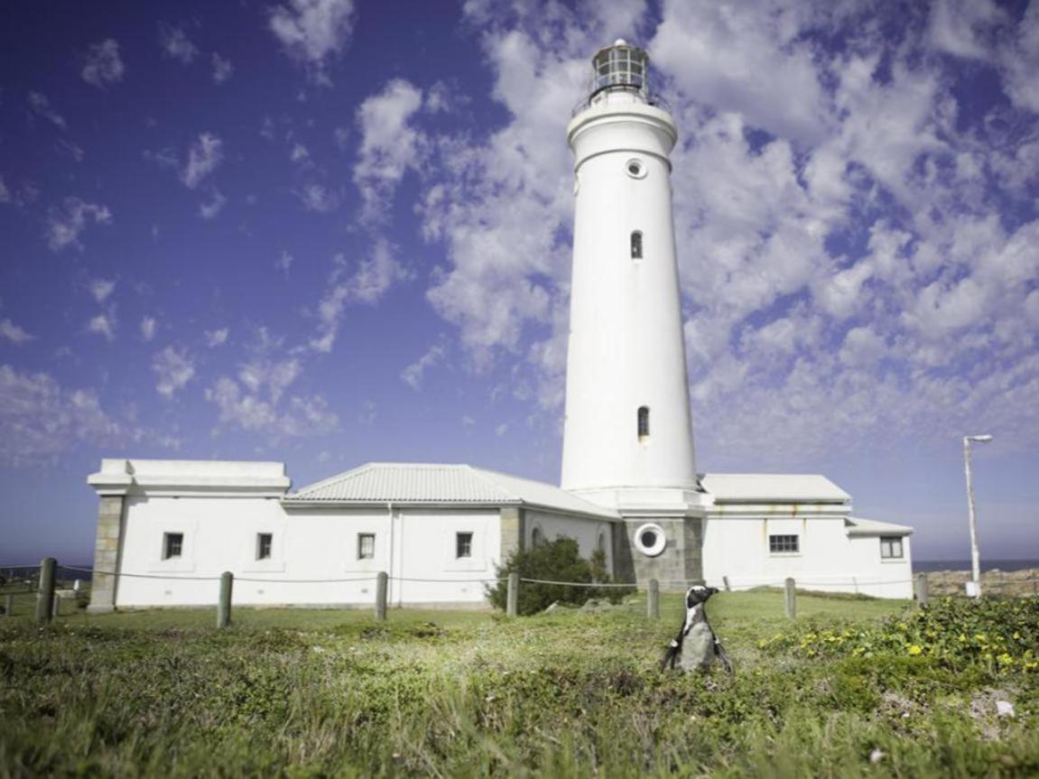 Seals Backpackers Hotel Cape St. Francis Exterior foto